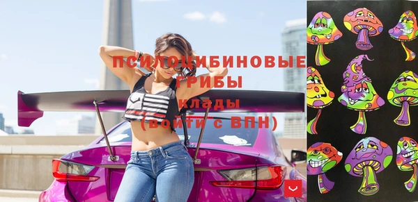 а пвп мука Алзамай