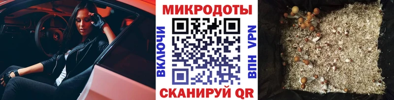 Псилоцибиновые грибы прущие грибы  Волгоград 