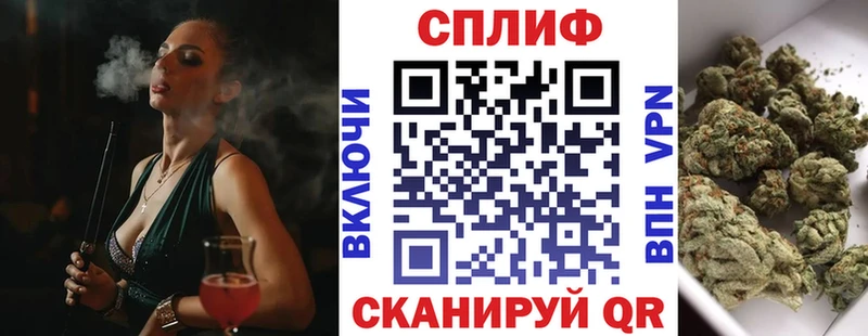 хочу наркоту blacksprut ССЫЛКА Бошки марихуана OG Kush Волгоград